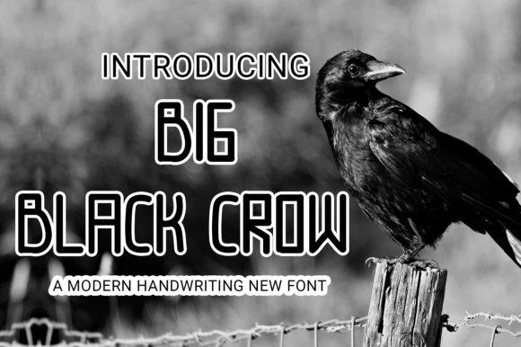 Big Black Crow: A Playful Display Font for Web Design