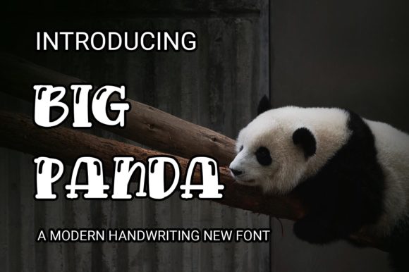 Big Panda: A Chic Display Font for Editorial Design